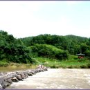 진천농다리공인중개사사무소 이미지