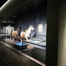 국립김해박물관 화장실 이미지