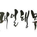 항다반사 이미지