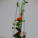 parallel handtied 이미지