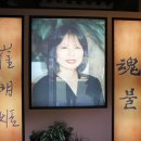 혼불문학