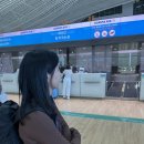 하드보일드 익스프레스 | 23년 유럽 여행 기록 1: 이탈리아 로마