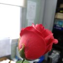 월암1급검사정비소 네이버블로그