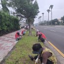 제주감귤농업협동조합중문지점 이미지