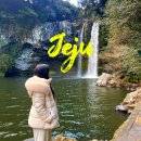 제주 무태장어 서식지 | 제주 서귀포 중문 가볼만한곳 천지연폭포 가는길 코스 입장료 입구 주차장