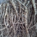 으뜸농장 2 이미지