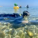 포도나무민박 이미지