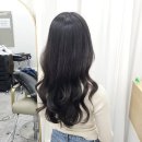 의진헤어 네이버블로그