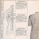 족태양방광경 經穴圖:승부 은문 부극 위양 위중 부분 백호 고황 신당 의희 격관 혼문 이미지