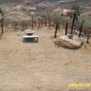 아지랑냉이랑 이미지