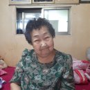 옥천노인장애인복지관 이미지