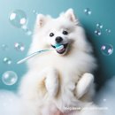 (주)이펫티브 | 강아지 치과전문병원에 300만 원 넘게 쓴 견주의 강아지 치약6종 비교 및 치아관리법 (오라틴, 보가덴트...