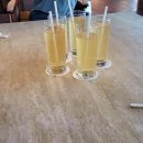 댕댕이 머리하는 날 이미지