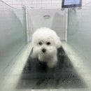 눈보뛰 프리미엄 이미지