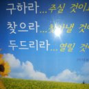 희망나무공동체 이미지