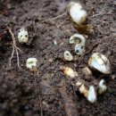 시골놀이터 이미지