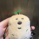 대관령팝업하우스 | 드라마 기록 #4. 감자연구소