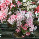 동희농원 이미지