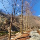 배내미낚시터 이미지