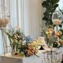 구구컴퍼니 이미지