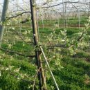 장금농장 이미지