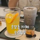 오렌지웨일