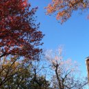 한 웅큼의 빛 이미지