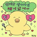 머멍찌