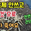 잡초제거방법 친환경천연제초제 만드는 방법 이미지