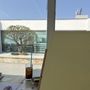 상상꿈틀미술교습소 | 대전 메디치미술교습소 대전아크릴화 배우기 좋은 곳 🎨 취미미술로 시작한 린디합 커플 그림 후기