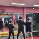 병점센트럴복싱 이미지