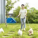 즐거운 강아지 이미지