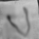 엑슬루 동물병원 이미지