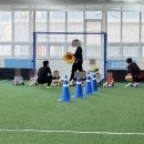 제이(J)1 5 3 | 세종 어린이 축구교실 제이풋볼아카데미 5세 유아체육 수업후기