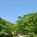 퇴촌면-2 | [경기도 광주 퇴촌면]- 브런치카페 물러남 내돈내산 리뷰(2번 방문 후기)