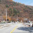 만추의 전원 이미지