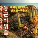 장기낚시터 이미지