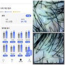 레벨헤드 | 대구두피관리 가렵고 답답한 두피,부부가 함께 찾은 커플헤드스파 후기