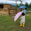 세현농장 이미지