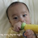 [누부] 신생아 장난감 누부 삑삑이♡