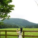 방주목장 이미지