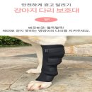엔케이펫