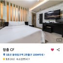 [JTBC마라톤 봉사🏃‍♂️] 11월4일~5일 with)택언니
