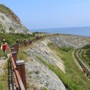 순국열사 추모길 이미지