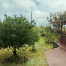 제주독채펜션자쿠지감성숙소구르미별동 이미지