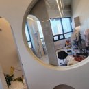 트윈독스 이미지