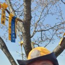 대청호오백리길 찬샘마을길 이미지