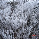 알프스산장여관 이미지