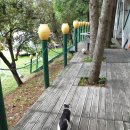 오크캠핑 이미지