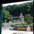 UR(파주시)-[교하로]-하-21 | GTX-A 타고 떠난 파주 당일치기 일정 공유 - 약천사, 통일전망대, 헤이리 마을, 박포갈비, 카페 아레볼